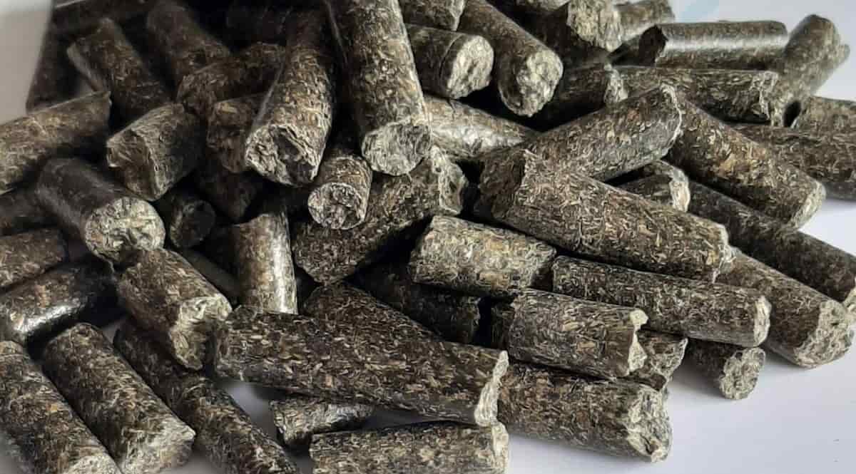 واردات ، تولید ، تامین و توزیع کنجاله پنبه دانه